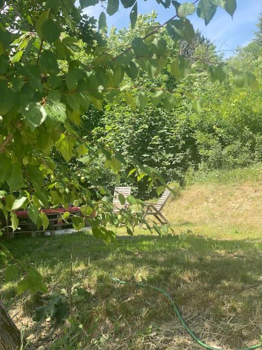 Villa Les Terrasses Dans La Nature Avec Piscine A 2 Pas De Lyon, Metro A 15Mn A Pied Pour Lyon Centre En 10Mn Ou Bus A 300M Pour Lyon Centre Oullins Εξωτερικό φωτογραφία