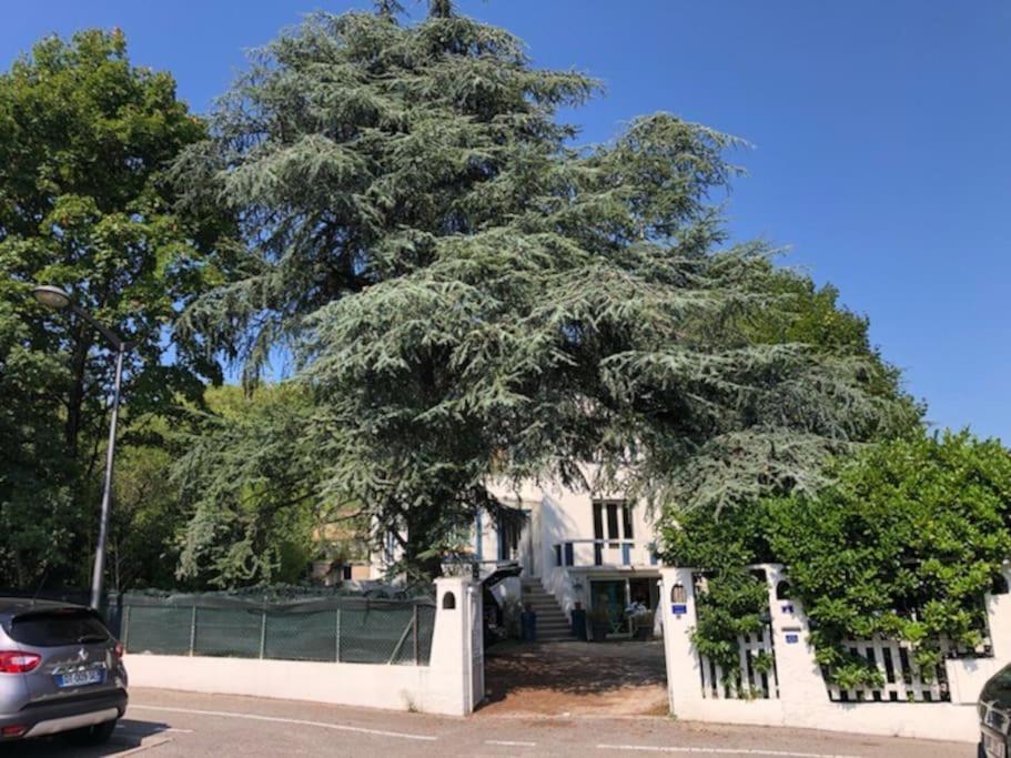 Villa Les Terrasses Dans La Nature Avec Piscine A 2 Pas De Lyon, Metro A 15Mn A Pied Pour Lyon Centre En 10Mn Ou Bus A 300M Pour Lyon Centre Oullins Εξωτερικό φωτογραφία